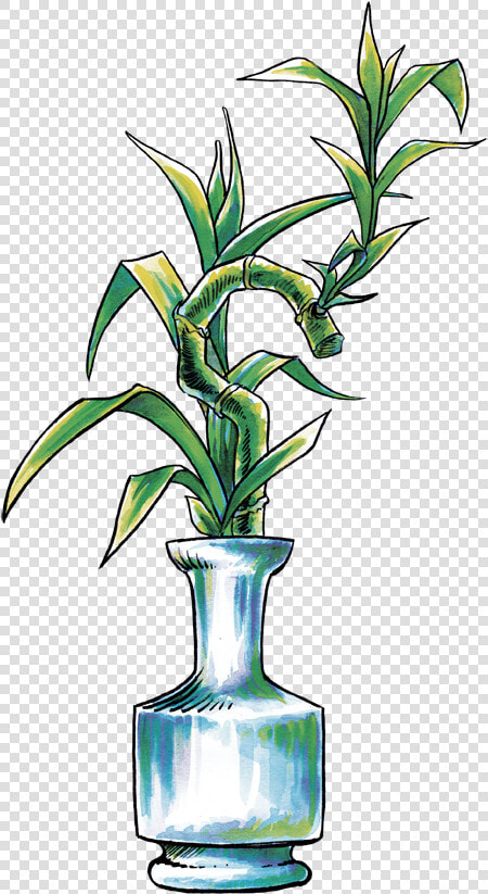 Houseplant  HD Png DownloadTransparent PNG