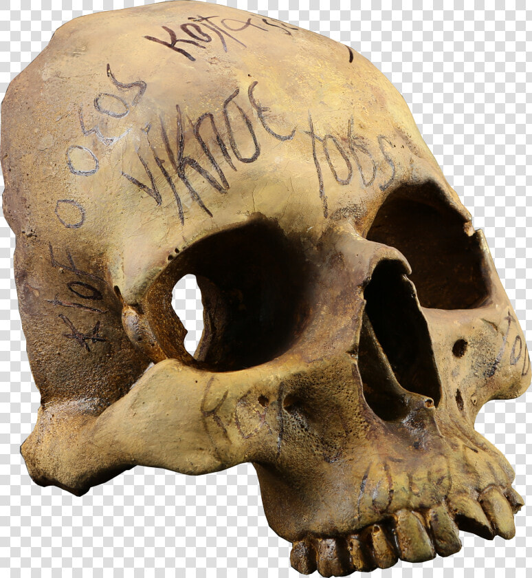  pennydreadful  auction  halloween  spooky  horror   Skull  HD Png DownloadTransparent PNG