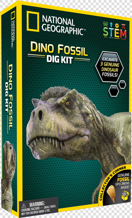 Real Dinosaur Fossil Dig Kit   National Geographic Dino Fossil Dig Kit  HD Png DownloadTransparent PNG