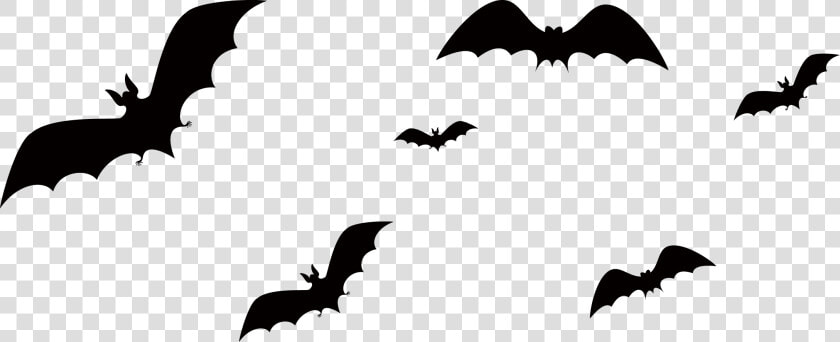 Bat Png Download   Halloween Cute Cats And Dogs  Transparent PngTransparent PNG