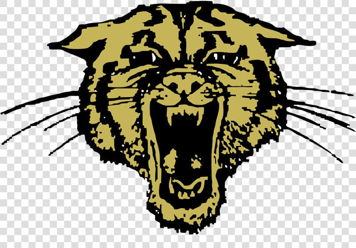 Trumann Wildcats Clipart   Png Download   Bearcat Douglas Wyoming High School  Transparent PngTransparent PNG