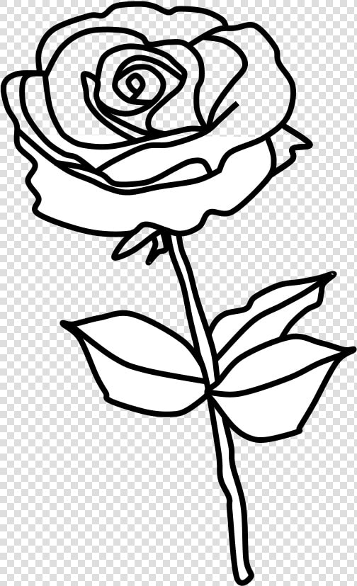 Rose  Thorns  Black And White   Floribunda  HD Png DownloadTransparent PNG