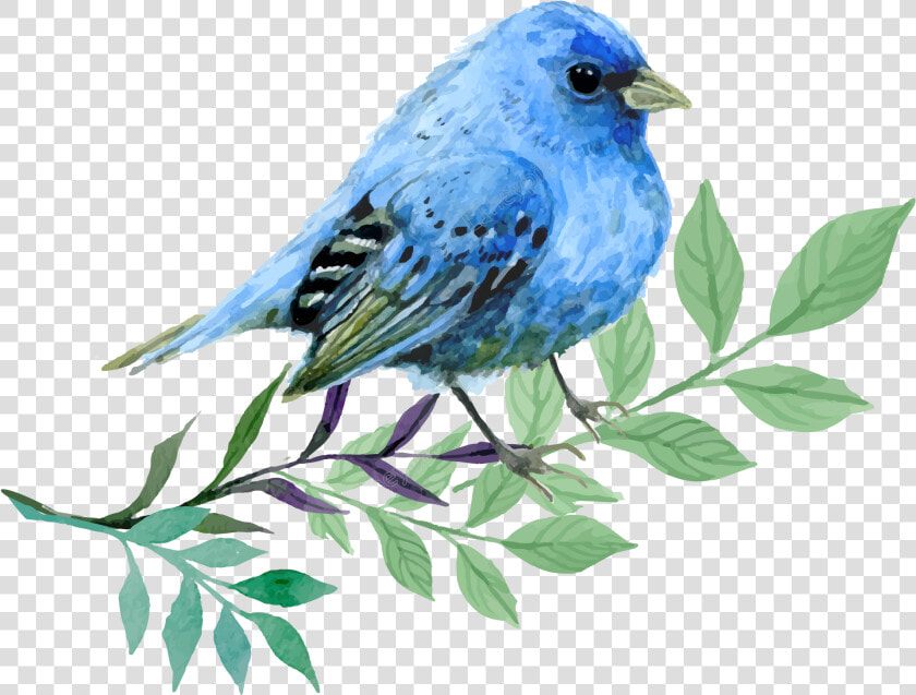 Image Library Stock Hand Painted Cartoon Watercolor   Free Indigo Bird Download  HD Png DownloadTransparent PNG