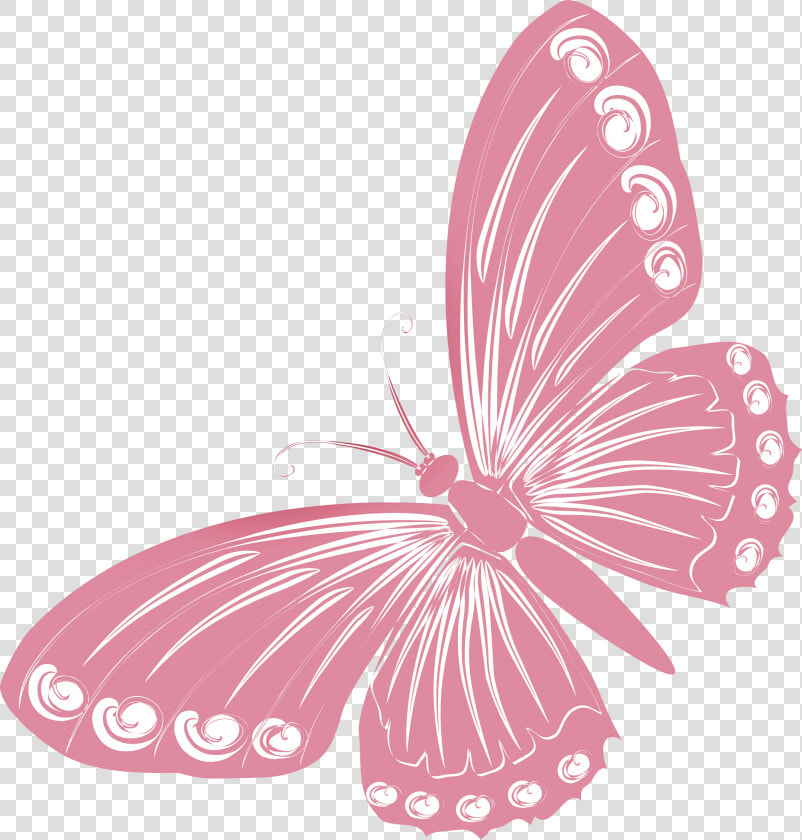 Pink Butterfly Png   Butterfly Pictures For Drawing  Transparent PngTransparent PNG