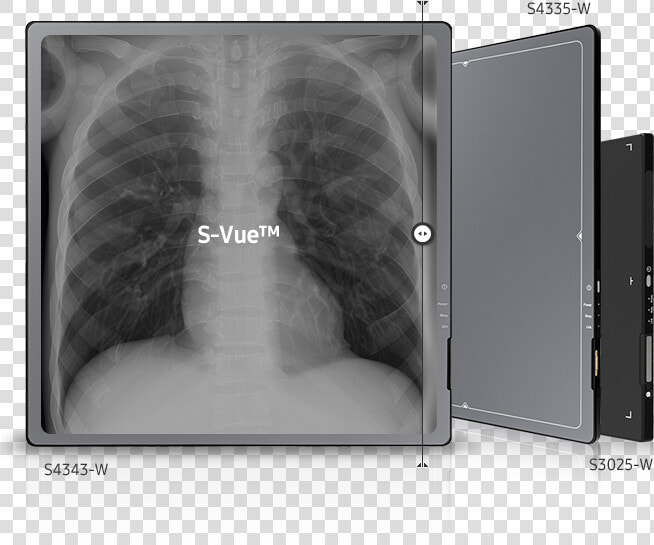 Xray Png  Transparent PngTransparent PNG