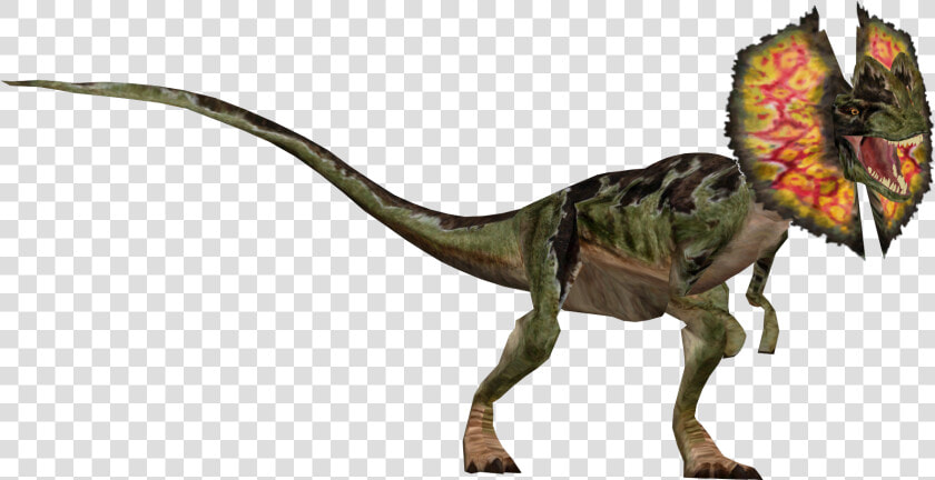 Dilophosaurus Render   Dinosaur Dilophosaurus Jurassic Park  HD Png DownloadTransparent PNG