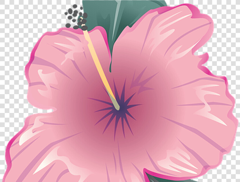 Flower Icon Symbol Free Image On Pixabay   Bunga Icon Png Pink  Transparent PngTransparent PNG