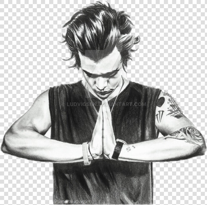 Harrystyles Harry Styles Drawing   Harry Styles 2014 Drawing  HD Png DownloadTransparent PNG