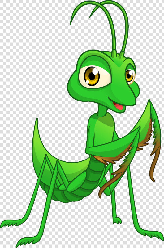 Mantis Png   Small Praying Mantis Cartoon  Transparent PngTransparent PNG