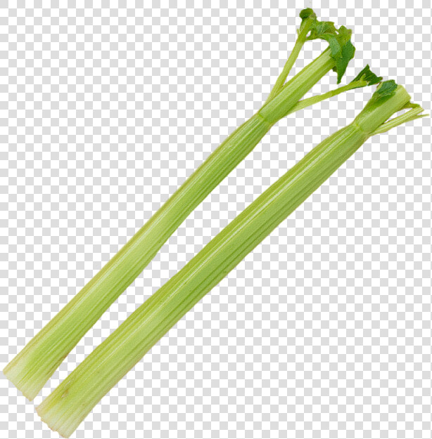 Celery Stick Png   Transparent Background Celery Png  Png DownloadTransparent PNG