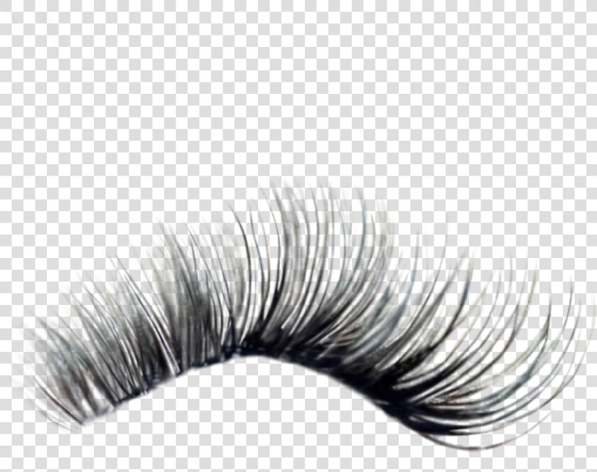 Eyelash Extensions  HD Png DownloadTransparent PNG