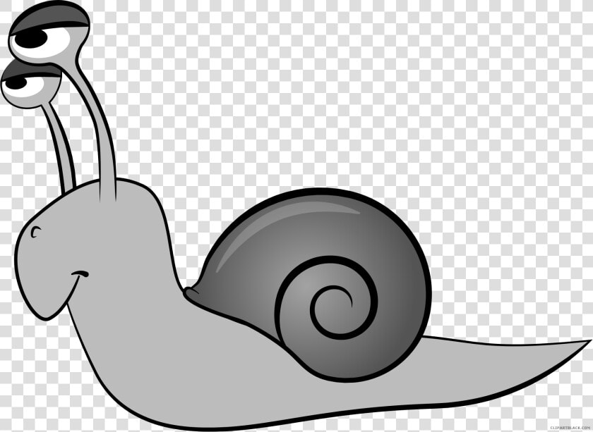 Cartoon Snail Animal Free Black White Images   Animals That Crawl Clipart  HD Png DownloadTransparent PNG