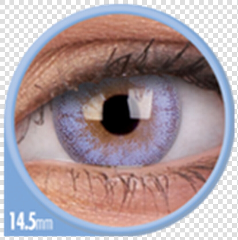 Contact Lenses  HD Png DownloadTransparent PNG