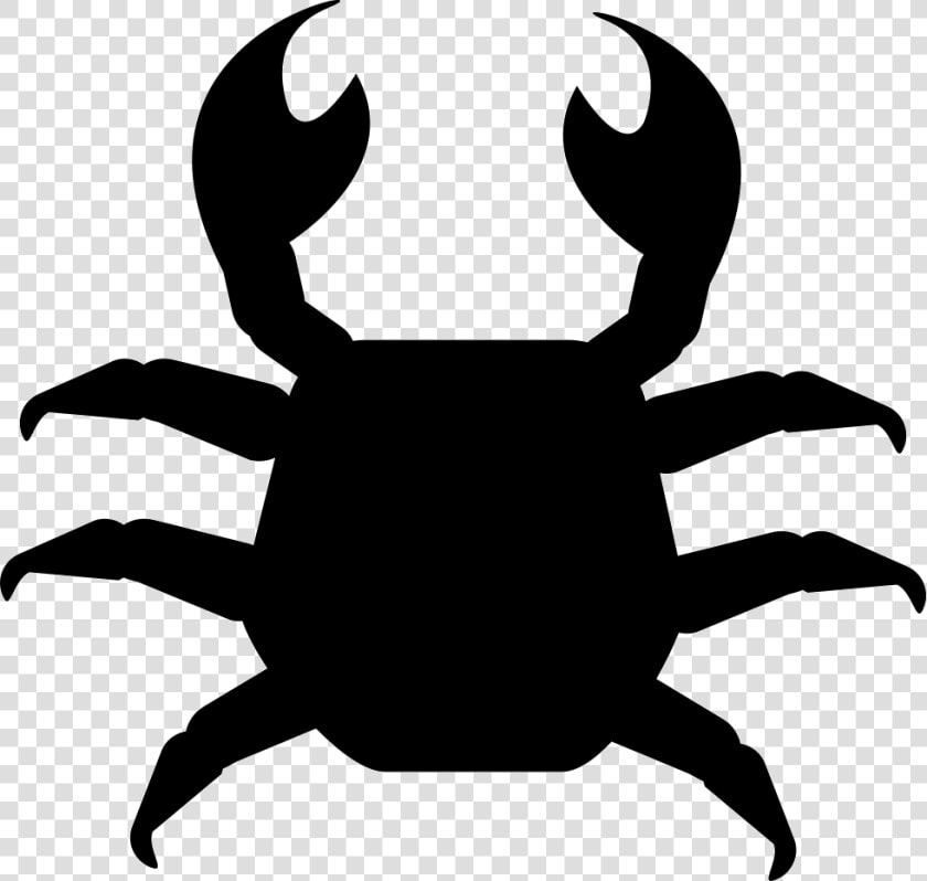 Crab   Top View Of Animals  HD Png DownloadTransparent PNG