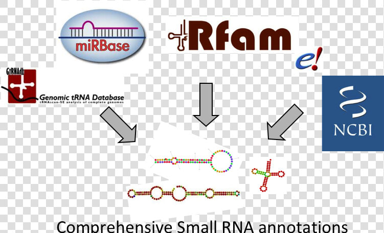 National Center For Biotechnology Information  HD Png DownloadTransparent PNG