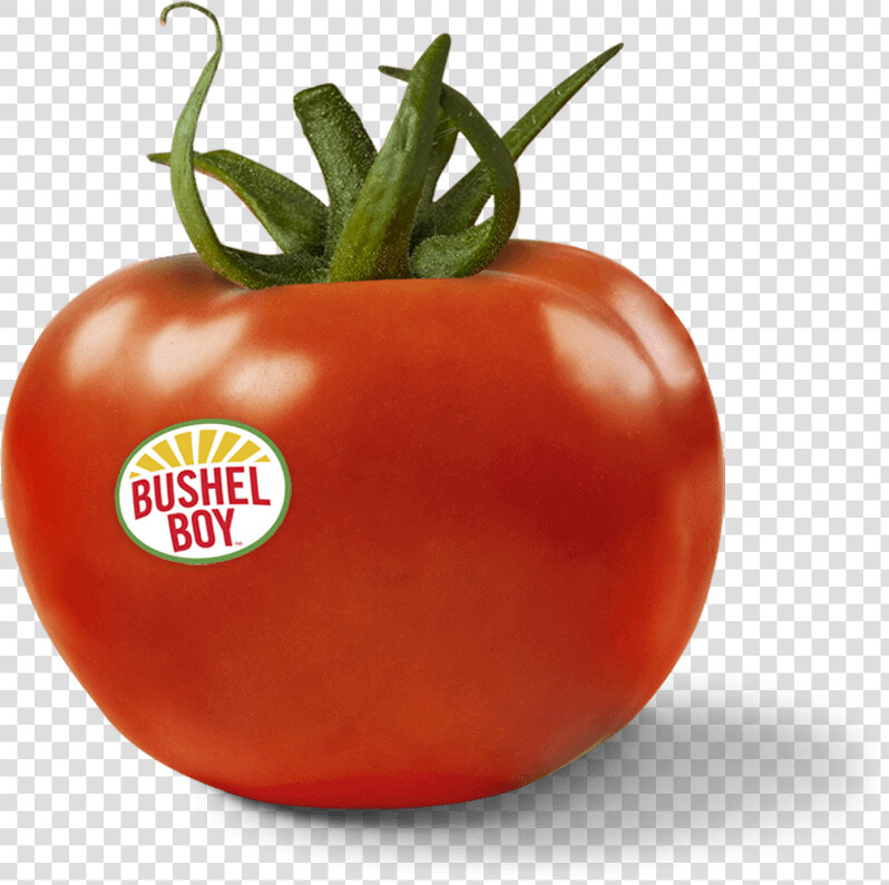 Tomato   Plum Tomato  HD Png DownloadTransparent PNG