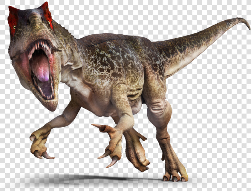 Dinosaurs Transparent Png   Allosaurus Png  Png DownloadTransparent PNG