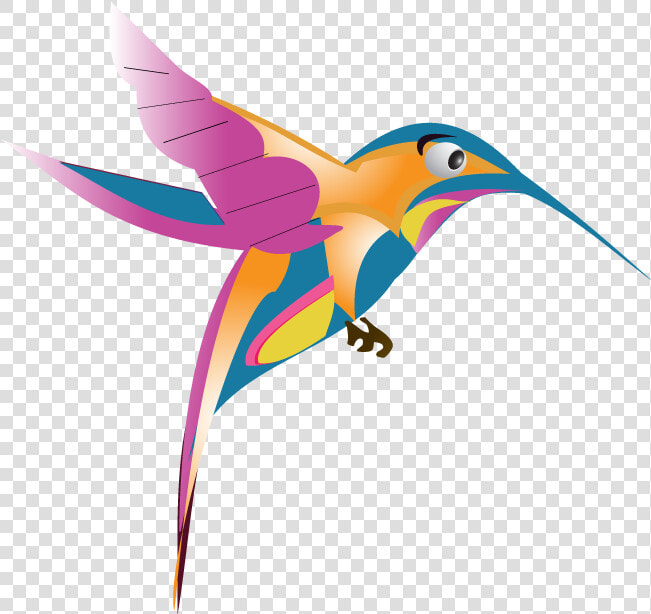 Hummingbird Png Transparent Images   Google Hummingbird  Png DownloadTransparent PNG