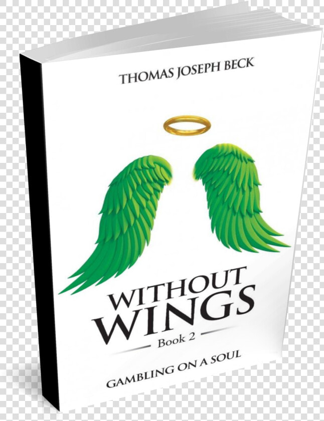 Without Wings Book Series By Thomas Joseph Beck to   Banner  HD Png DownloadTransparent PNG