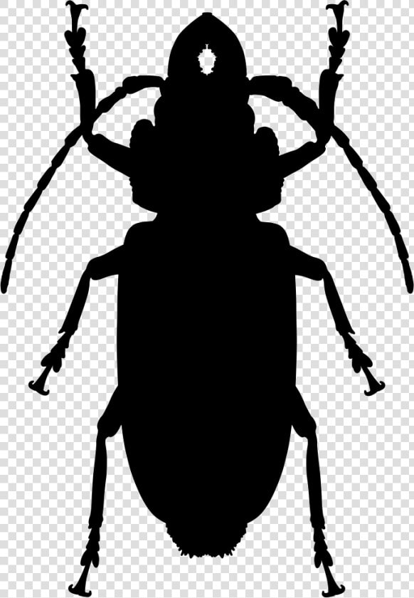 Cockroach Shape   Silhouette Cockroach Png  Transparent PngTransparent PNG