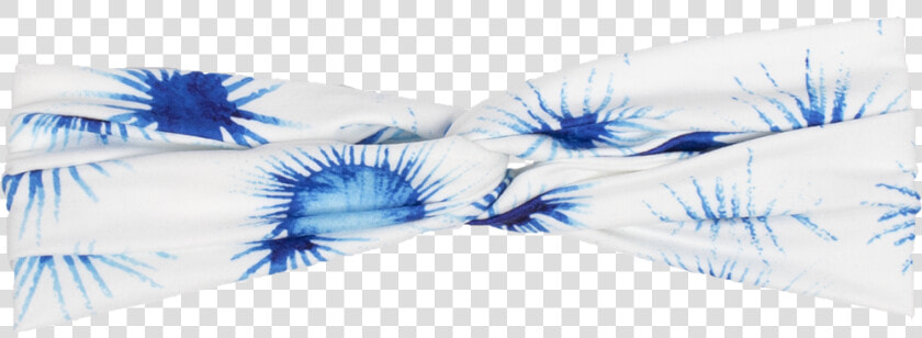 Transparent Supernova Png   Marine Invertebrates  Png DownloadTransparent PNG