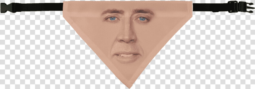 Cage Face ﻿pet Bandana   Nicolas Cage  HD Png DownloadTransparent PNG