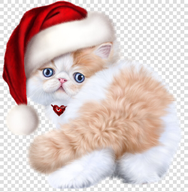 Tubes Noel Chat Cat   Baby Kitten Cats  HD Png DownloadTransparent PNG