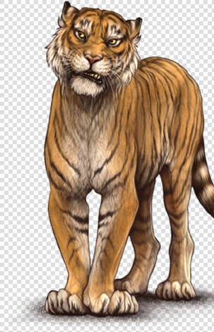 Siberian Tiger  HD Png DownloadTransparent PNG