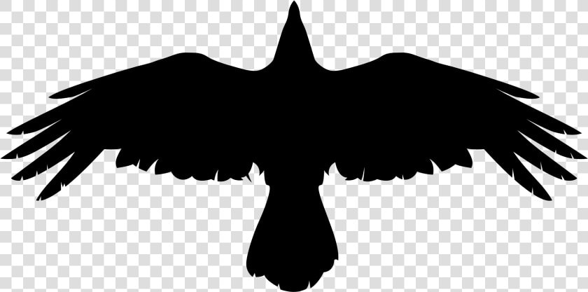 Download Crow Png Picture   Valknut Raven Norse Souls  Transparent PngTransparent PNG