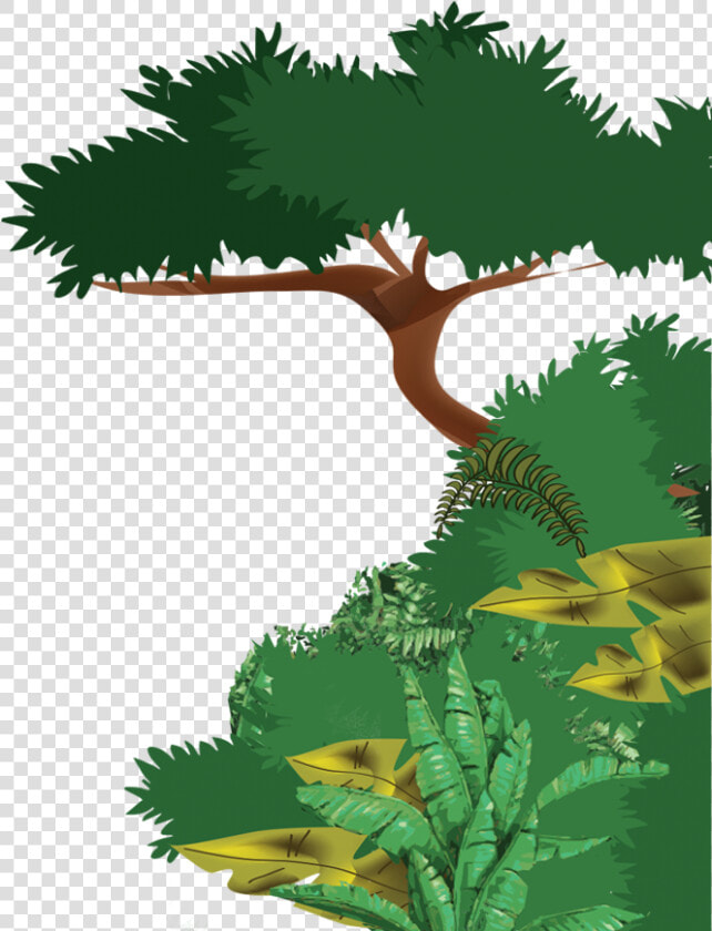 Transparent Jungle Border Png   Drawing Of Tropical Evergreen Forest  Png DownloadTransparent PNG