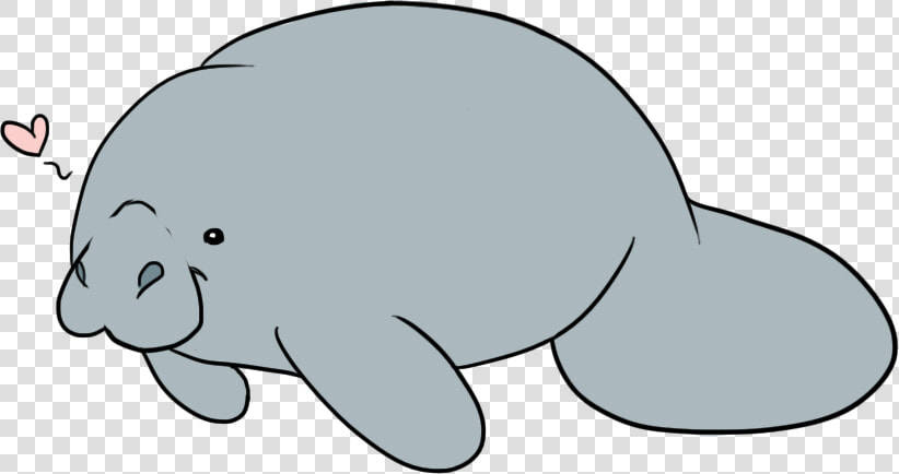 Manatee Clipart  HD Png DownloadTransparent PNG