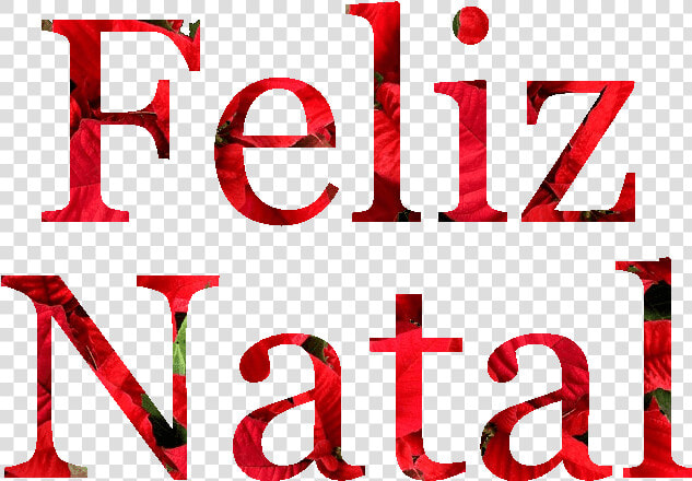 Feliz Natal Em Flores De Natal Png   Colorfulness  Transparent PngTransparent PNG