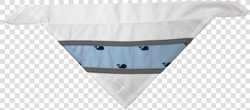 Reflective Dog Bandana   Underpants  HD Png DownloadTransparent PNG