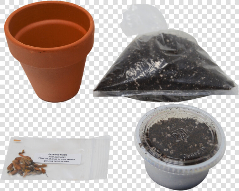 Bonsai Tree Garden Diy Grow Kit With Japanese Maple   Flowerpot  HD Png DownloadTransparent PNG