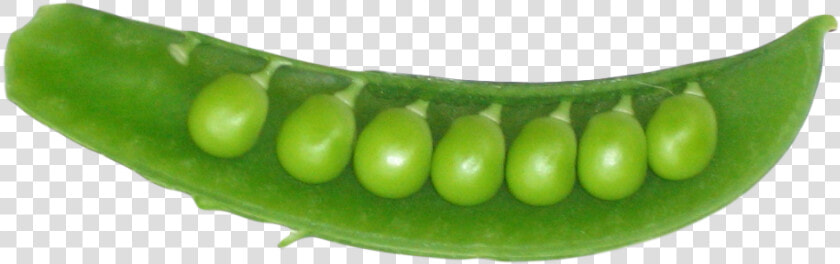 Peas In A Pod Png Image1   Peas In A Pod Png  Transparent PngTransparent PNG