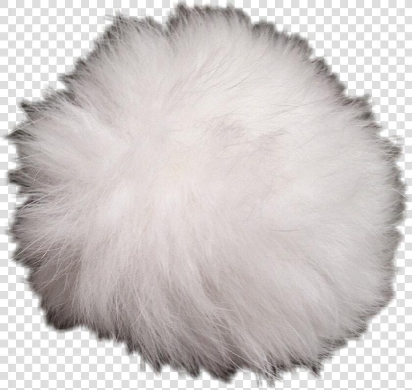  pompom  white  freetoedit   Fur Clothing  HD Png DownloadTransparent PNG