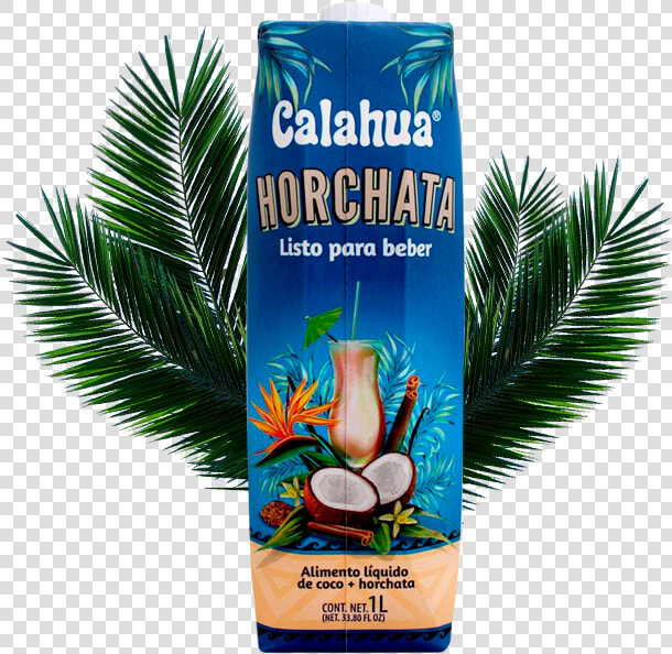 Café Y Horchata   Vacation  HD Png DownloadTransparent PNG