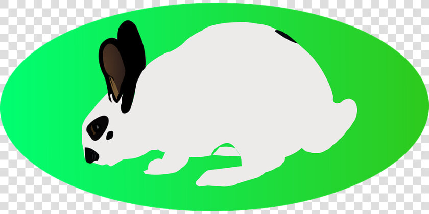 Easter  White Rabbit  Green Ellipse  Long Eared   Cartoon  HD Png DownloadTransparent PNG