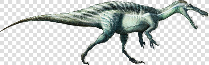 Suchomimustenerensis   Suchomimus Png  Transparent PngTransparent PNG