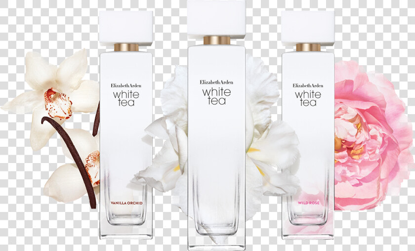 The White Tea Collection Celebrates The Pleasure Of   Elizabeth Arden White Tea Vanilla Orchid  HD Png DownloadTransparent PNG