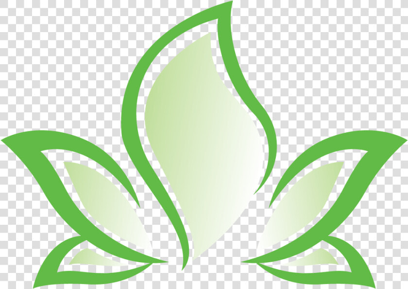 Vector Nature Herbal   Herbal Logo Design Png  Transparent PngTransparent PNG