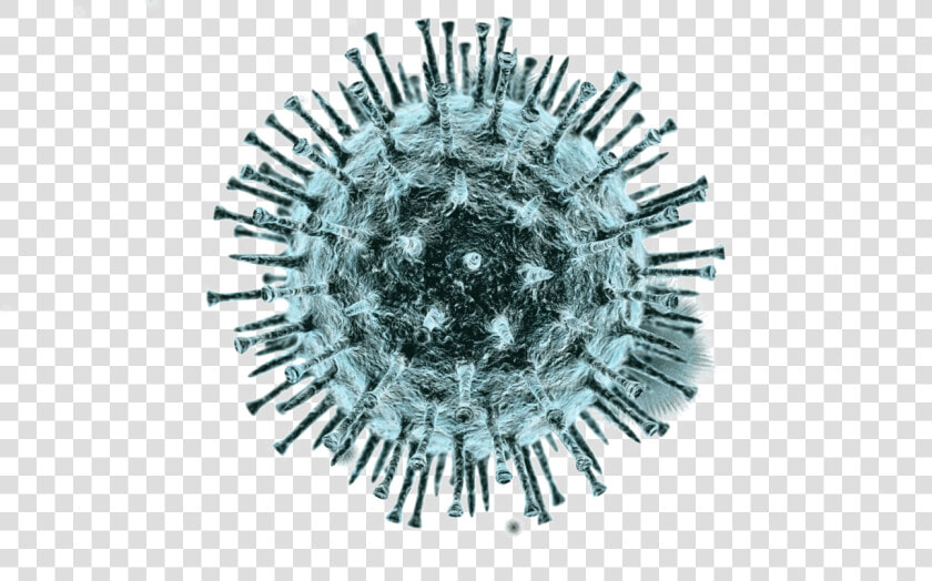 Coronavirus Png  Transparent PngTransparent PNG