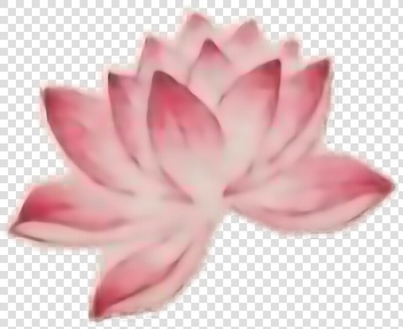  flower  tattoo  interesting  art  people  freetoedit   Sacred Lotus  HD Png DownloadTransparent PNG