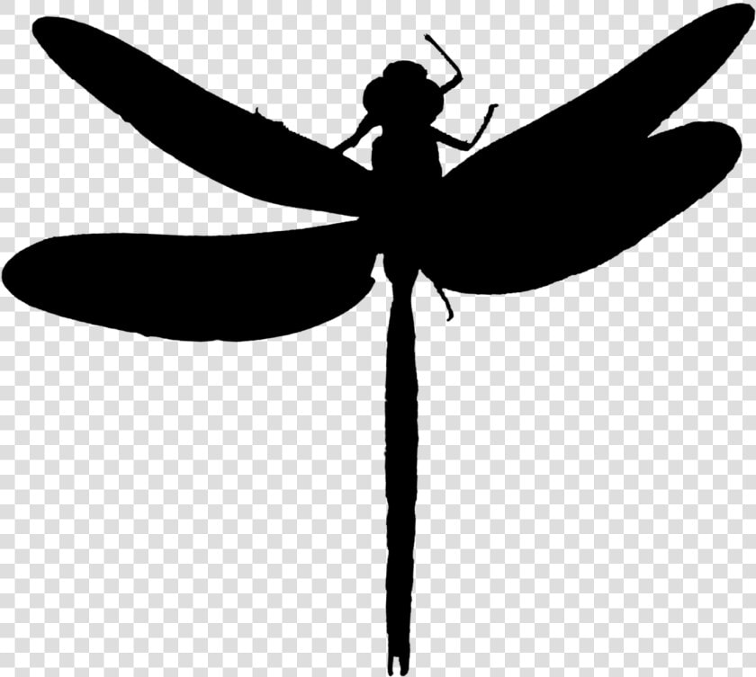 Dragonfly Insect Clip Art Line Silhouette   Net winged Insects  HD Png DownloadTransparent PNG