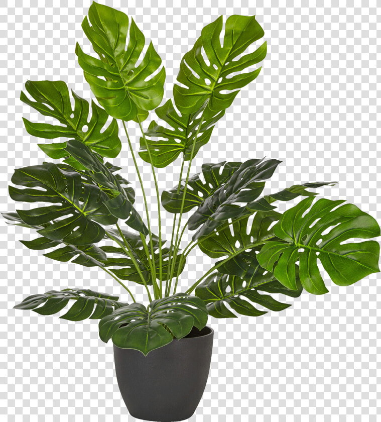 Philodendron Artificiel En Pot H50cm philo   Flowerpot  HD Png DownloadTransparent PNG