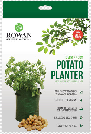 Potato Planter   Potato  HD Png DownloadTransparent PNG