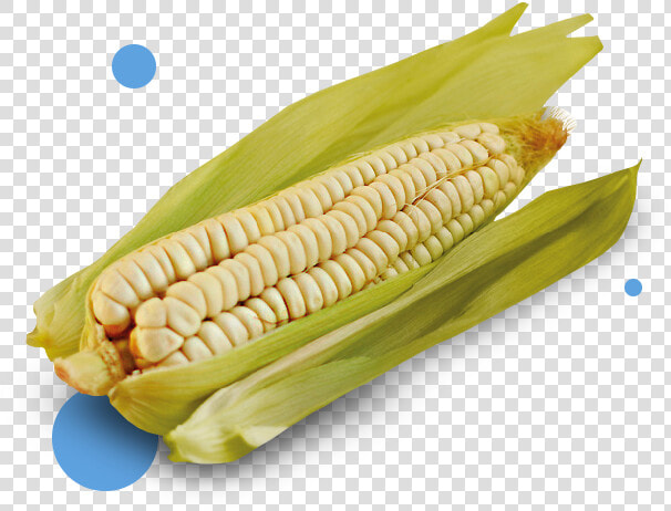 Corn   Alimentos Nativos De Ecuador  HD Png DownloadTransparent PNG