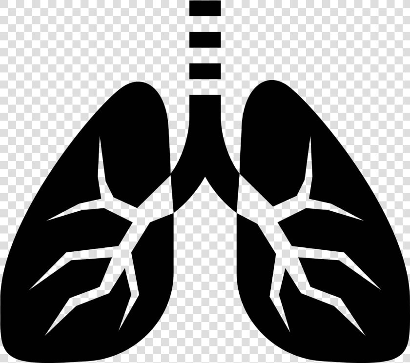 This Picture Is Of The Icon Lungs   Lungs Icon  HD Png DownloadTransparent PNG