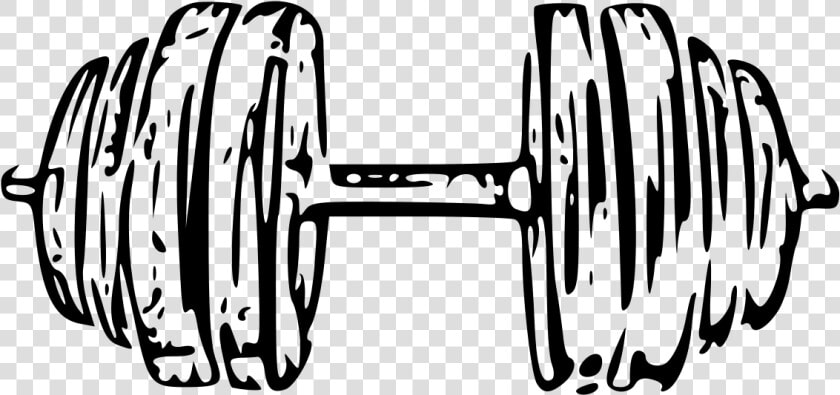 Collection Of Free Dumbbell Drawing Download On Ui   White Dumbbell Png  Transparent PngTransparent PNG