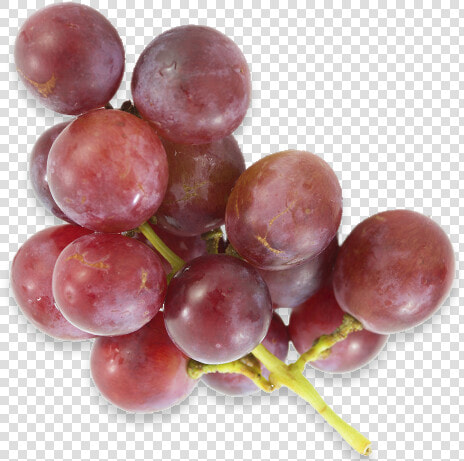 Grapes  Americas Breakroom   Pieces Of Grapes Png  Transparent PngTransparent PNG